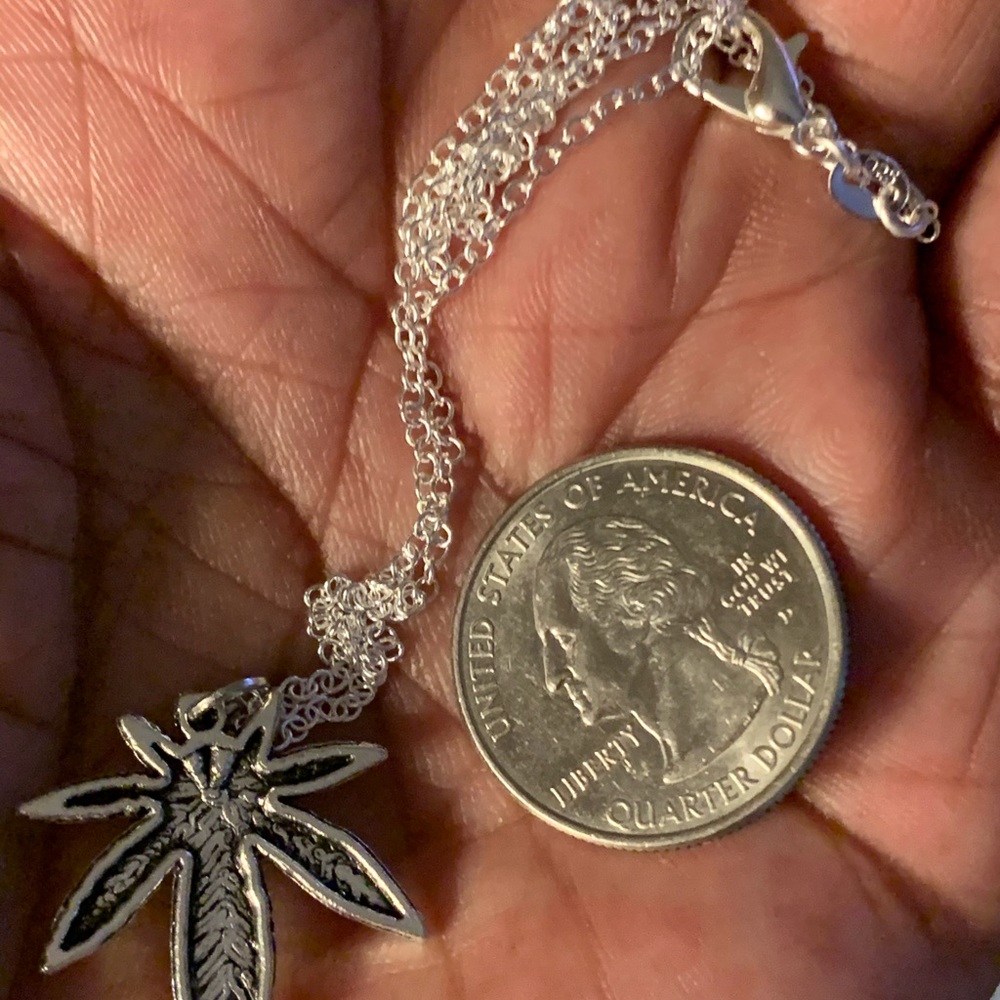 Pendant Necklace Charm - Picture 3 of 3